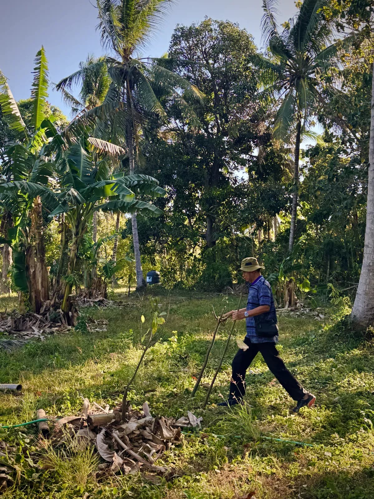 Understanding Dark Cocoa