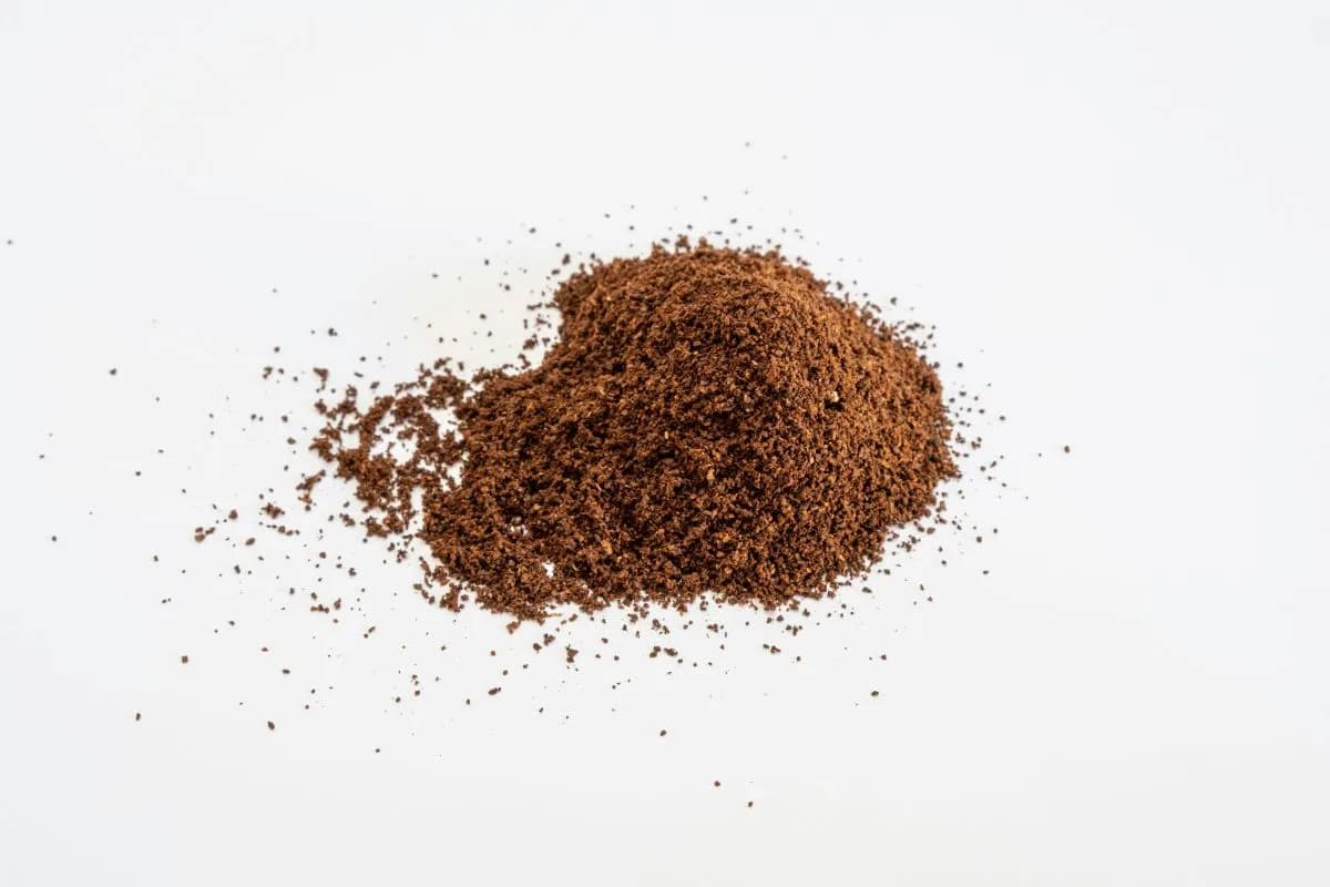 Why Sorghum Sugar