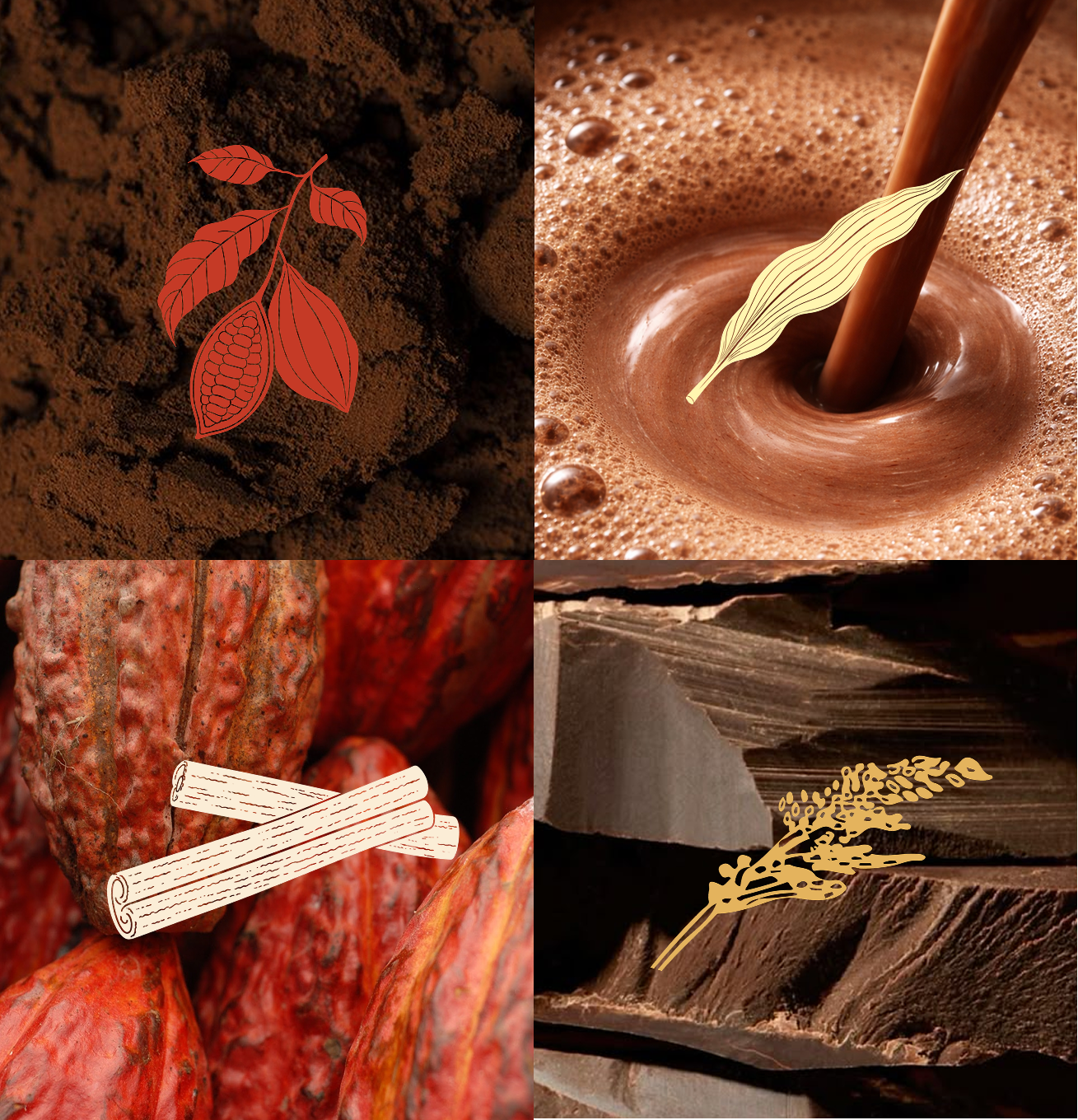 Cocoa beans, hot chocolate, cinnamon, and dark chocolate — the natural ingredients behind Rielle